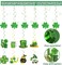 St Patricks Day Decorations Lucky Banner Shamrock Garlands Clover Hanging Swirls Set for St. Patrick's Day Decor Home Saint Patricks Day Irish Party Decorations